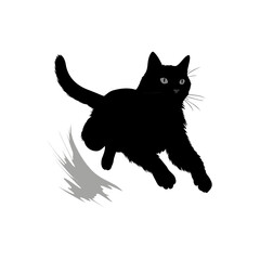 Cat Silhouette, Black and white SVG isolated graphics in the white background