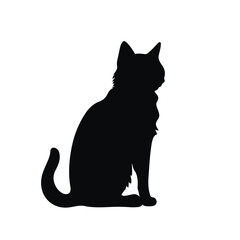 Cat Silhouette, Black and white SVG isolated graphics in the white background