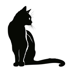 Cat Silhouette, Black and white SVG isolated graphics in the white background