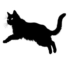 Cat Silhouette, Black and white SVG isolated graphics in the white background