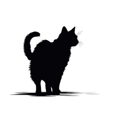 Cat Silhouette, Black and white SVG isolated graphics in the white background
