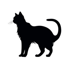 Cat Silhouette, Black and white SVG isolated graphics in the white background