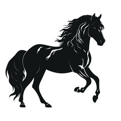 Horse silhouette, SVG isolated graphic, horses, beautiful animal
