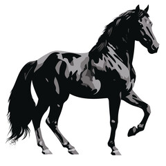 Horse silhouette, SVG isolated graphic, horses, beautiful animal