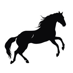 Horse silhouette, SVG isolated graphic, horses, beautiful animal