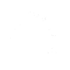 Horse silhouette, SVG isolated graphic, horses, beautiful animal