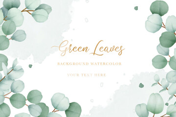 Elegant floral background with hand drawing eucalyptus watercolor  