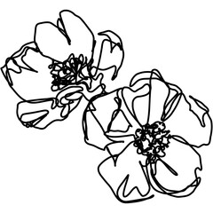 minimalist flower. line art one, line drawing