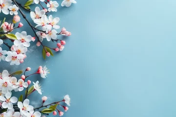 Foto op Plexiglas Banner with white and pink flowers on light blue background. Greeting card template for Wedding, mothers or womans day. Springtime composition with copy space. Flat lay style © ratatosk