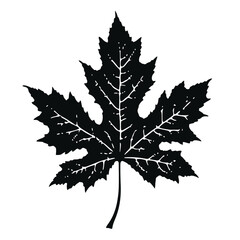 Wildflower SVG silhouette black and white isolated graphic, flower, nature