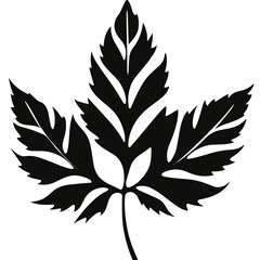Wildflower SVG silhouette black and white isolated graphic, flower, nature