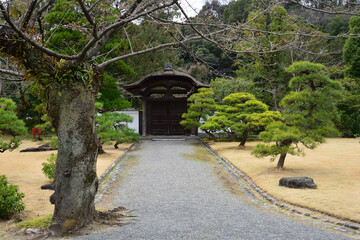 徳源寺唐門、日本庭園「有楽苑」にて