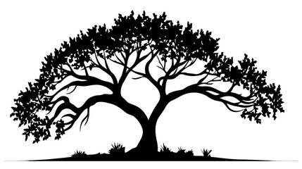 Black tree silhouette isolated on white background. Vector illsutration