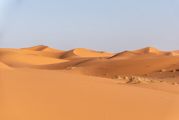 Fototapeta na wymiar Picturesque dunes in the Erg Chebbi desert in the early evening, part of the African Sahara