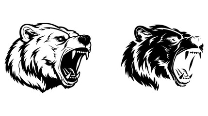 Bear head illustration, logo. Vector drawing of bear on white background