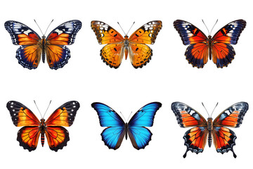 Collection of multicolored butterflies isolated on transparent background