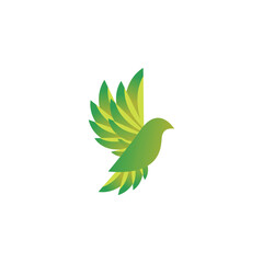 bird logo design logo gradient colorful