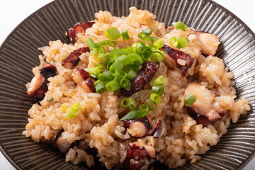 ガーリックたこバターライス