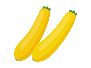 黄色いズッキーニ_ベクターイラスト