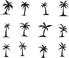 set of palm trees. palm tree icon