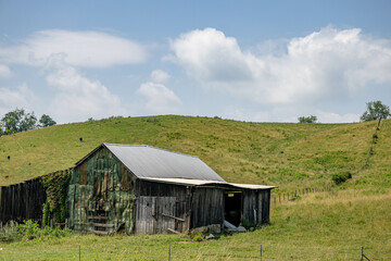 Fototapeta premium farm