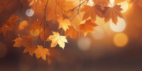 web banner design for autumn season and end year activity with red and yellow maple leaves with soft focus light and bokeh background