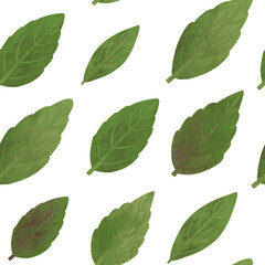 Fototapeta premium Basil leaves seamless pattern. Hand drawn textured isolated realistic herb leaves on white background. Raster culinary herbal allover print