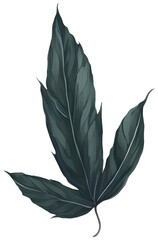 Watercolor green leaf.