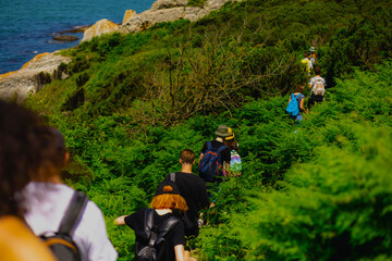 Group of hikers with backpacks wade through thickets of ferns along seashore on sunny summer day