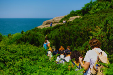 Group of hikers with backpacks wade through thickets of ferns along seashore on sunny summer day