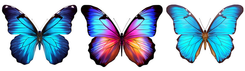 A set of three colorful butterflies isolated on a transparent background. created with Generative AI technology