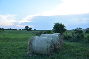 Hay Bales