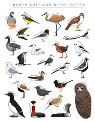 North American Birds Set Cartoon Vector Character 8