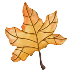 Fototapeta premium Autumn Watercolor Maple leaves, Autumn or Fall Animal, Watercolor illustration
