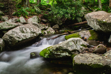 Naklejka na ściany i meble Beautiful Waterfalls in the Great Smoky Mountains