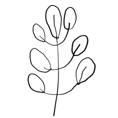 Doodle line twig and leaf
