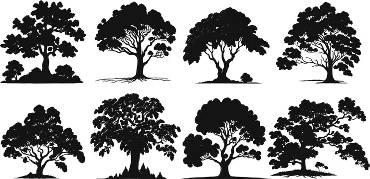 Set of black and white tree silhouettes. Tree elements to create a garden or forest