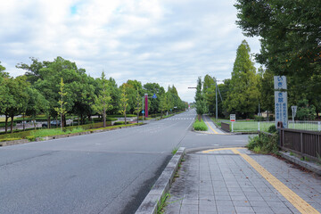 市役所前中央通り（埼玉県越谷市）