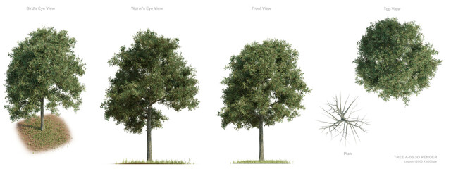 TREE A-02 3D RENDER For Presentation , Architecture design , Urban Design 