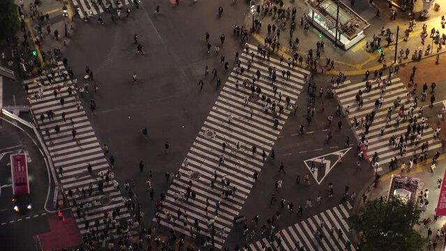 SHIBUYA, TOKYO, JAPAN : Aerial high angle top view of Shibuya crossing at night. Crowd of people walking at the crossing in busy rush hour. Japanese people and urban city nightlife concept 4K video.