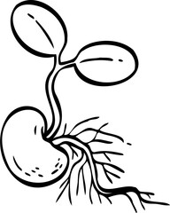 drawing sprout tree illustration.