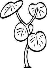 drawing sprout tree illustration.