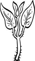 drawing sprout tree illustration.