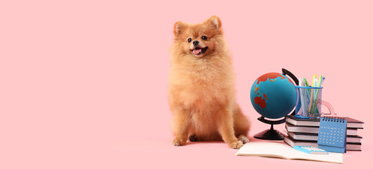 Cute fluffy dog, school stationery and globe on pink background with space for text