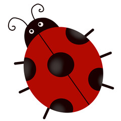 ladybug png