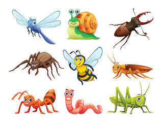Set of insects in cartoon style © YG Studio
