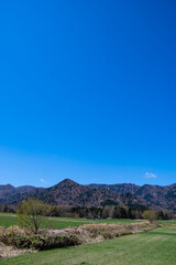 Fototapeta na wymiar 澄んだ青空の晴れた日の田舎