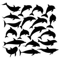 The set wild dolphins silhouettes.

