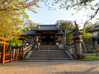 早朝の氷室神社と四脚門の風景