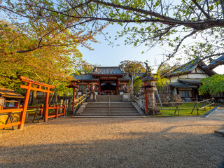 早朝の氷室神社と四脚門の風景